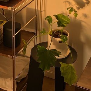 Meet your Posher, Nao